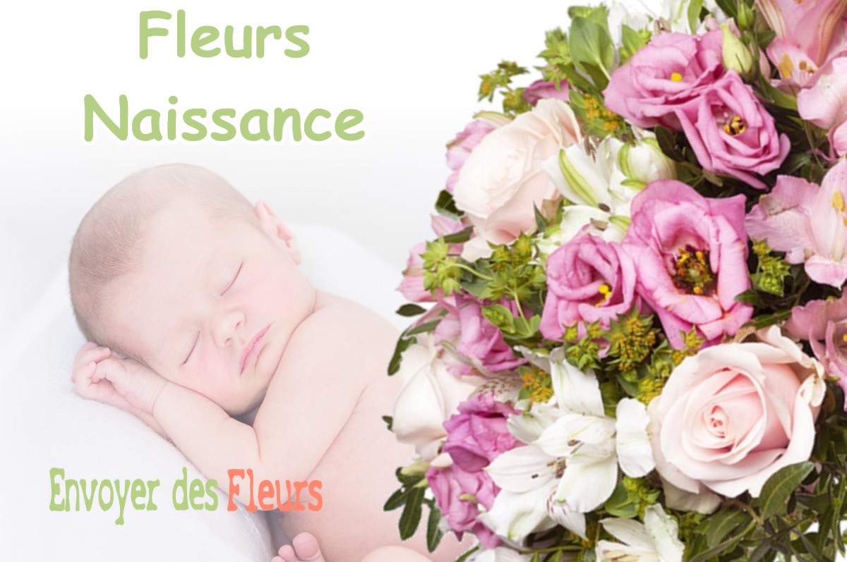 lIVRAISON FLEURS NAISSANCE à SAINT-CHRISTOPHE-EN-OISANS